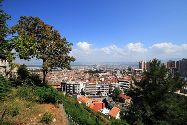 Bursa